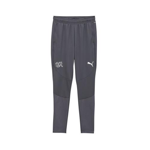 Preview: Schweiz Training Pants grau - 2024-25
